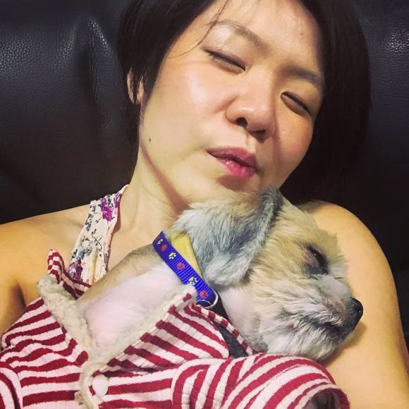 Meet your Posher, Chantily - Picture 1 of 1